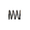 TAYLOR DUNN SPRING - STEER GEAR