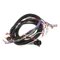 TAYLOR DUNN HARNESS-MAIN-SEM-SC-100