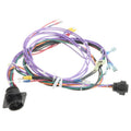 TAYLOR DUNN HARNESS CTRL E451 W/PANEL