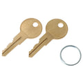 TAYLOR DUNN KEY SET - 2