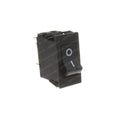 TAYLOR DUNN SWITCH ROCKER 2-P 10A CB