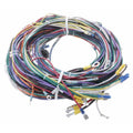 TAYLOR DUNN HARNESS CONTROL B210