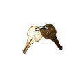 TAYLOR DUNN KEYS FOR/REV LOCK (#C415A)