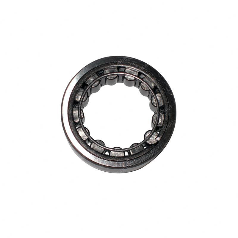 TAYLOR DUNN BEARING - ROLLER DIFFERENTIAL PINION