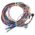TAYLOR DUNN HARNESS CTRL MOD C