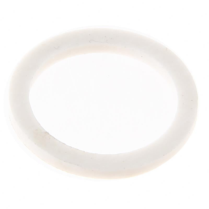 TAYLOR DUNN BACK UP RING