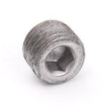 TAYLOR DUNN PIPE PLUG