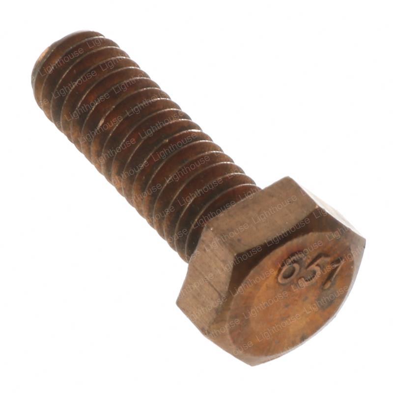 TAYLOR DUNN SCREW - BRONZE HEX CAP