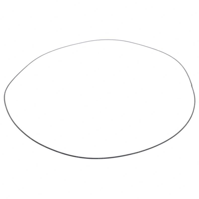 TAYLOR DUNN GASKET