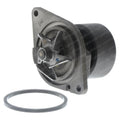 TAYLOR DUNN PUMP - WATER REMAN