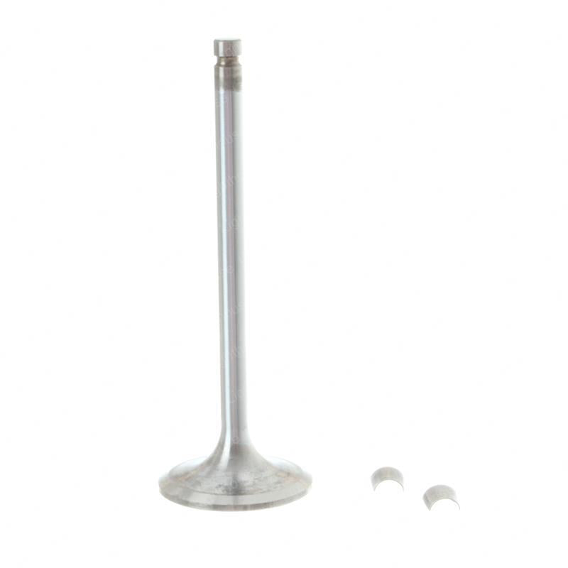 TAYLOR DUNN VALVE - INTAKE