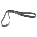 TAYLOR DUNN BELT