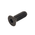 TAYLOR DUNN SCREW