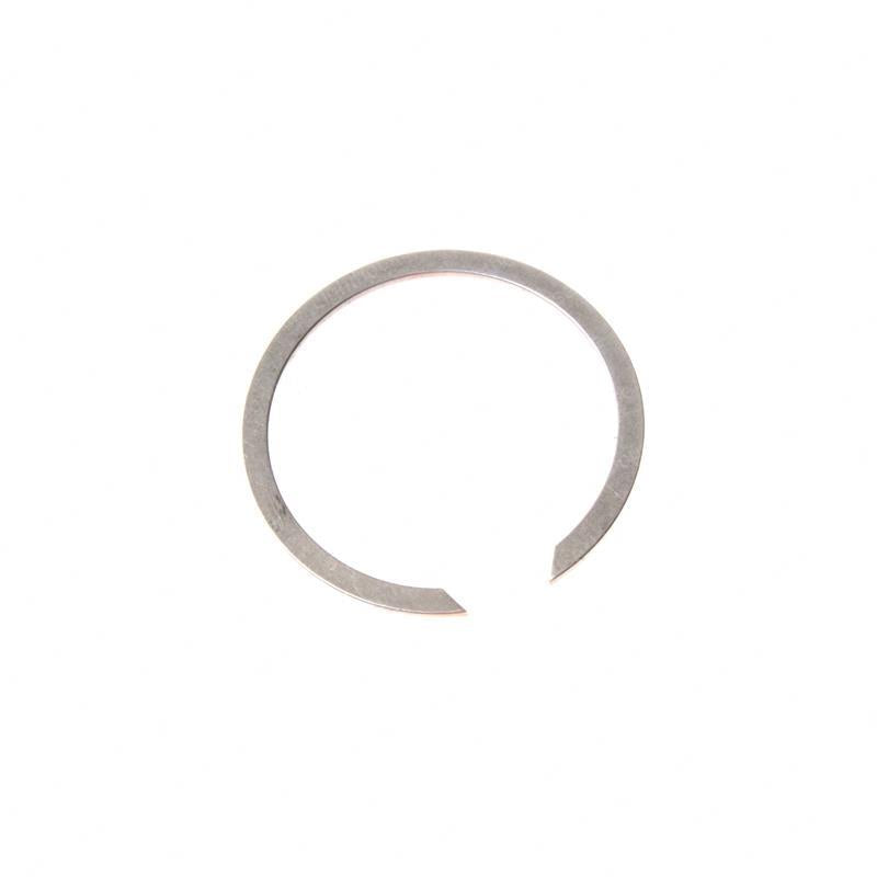 TAYLOR DUNN SNAP RING